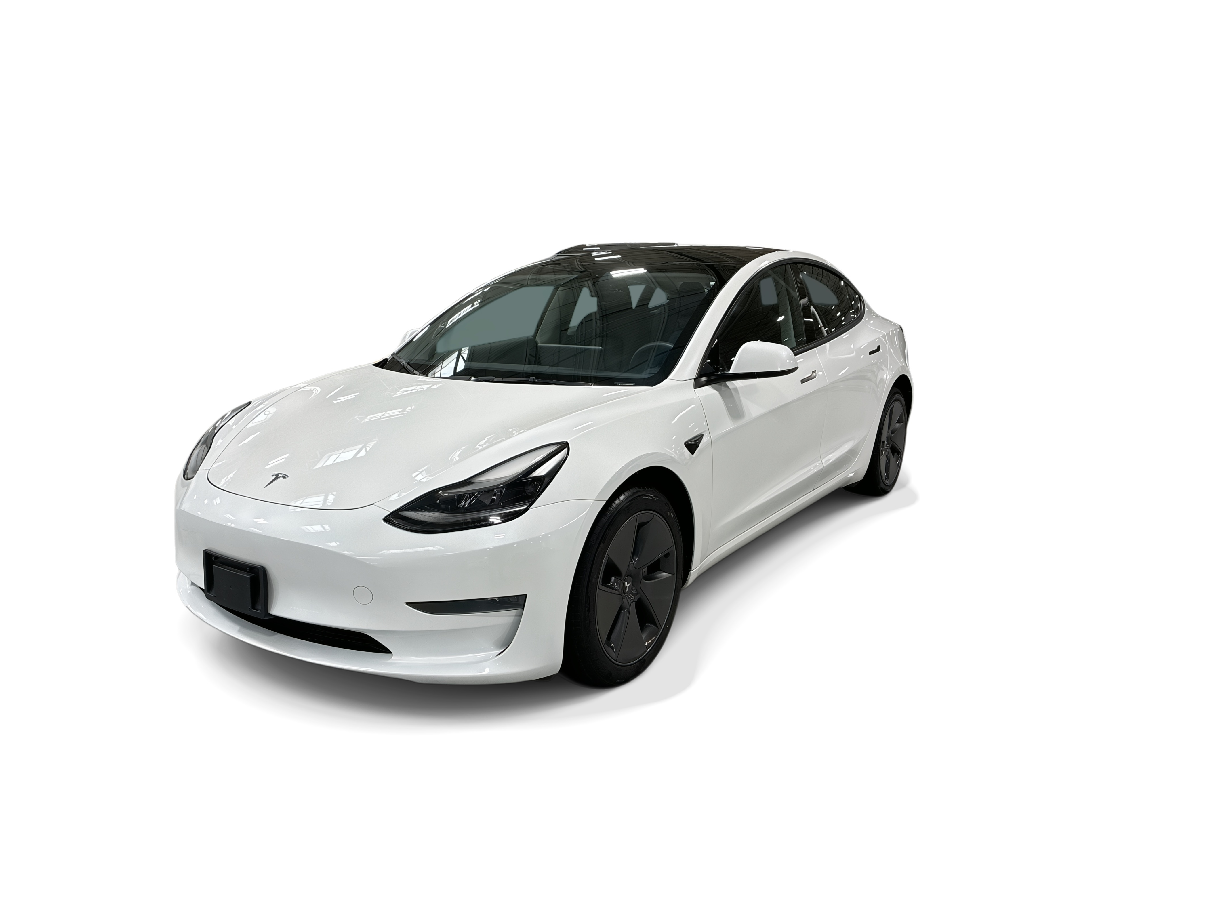 tesla model 3 2023 5YJ3E1EA1PF575516 image tesla model 3 2023 5YJ3E1EA1PF575516 image